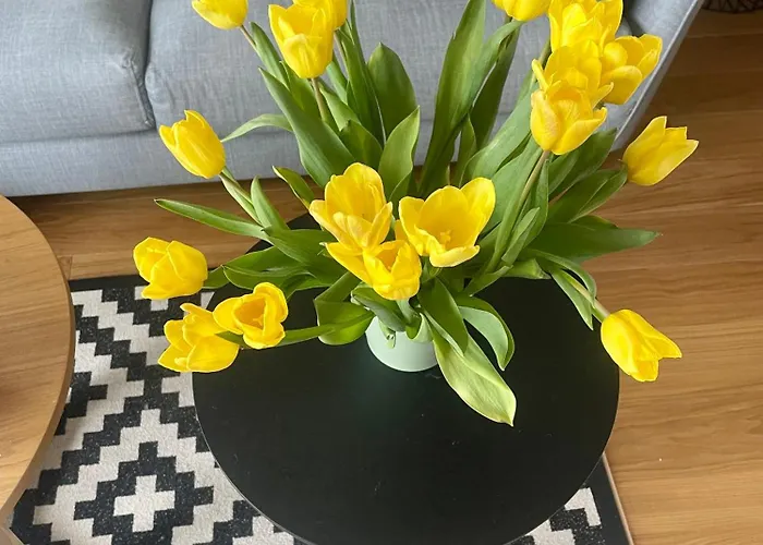 Seaview Noblessner Harbour Apartment, 8 Min To Downtown 公寓 塔林