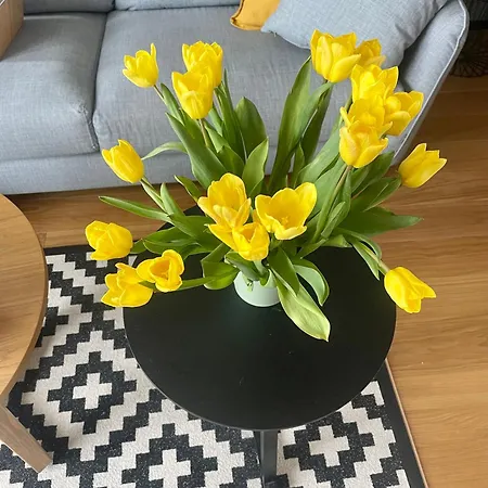 Seaview Noblessner Harbour Apartment, 8 Min To Downtown Apartamento Tallin